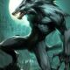 wolfy99